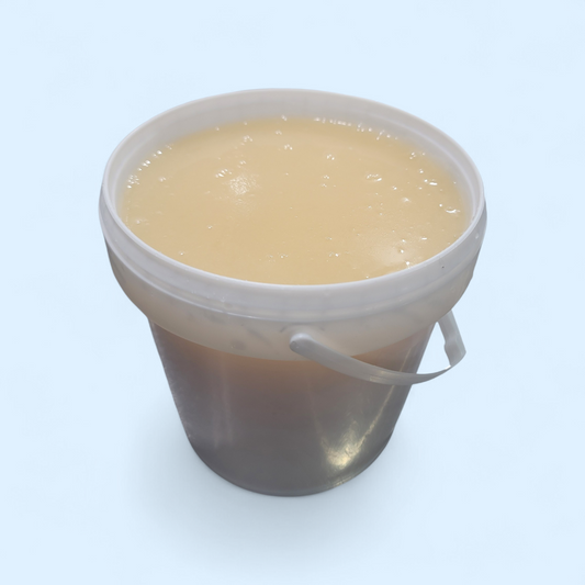 One Gallon Gold Sea Moss Tub